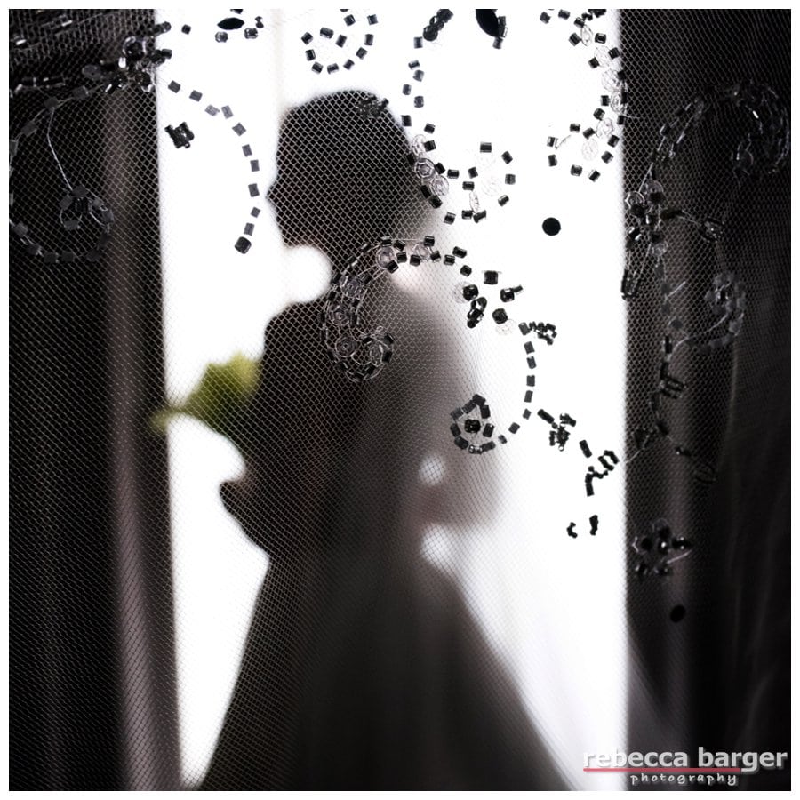 Gorgeous Monique Lhuillier gown from The Wedding Shoppe in Wayne.